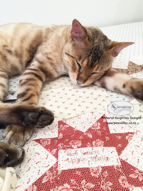 Sewing room re-organizing | Freindship Star Quilt