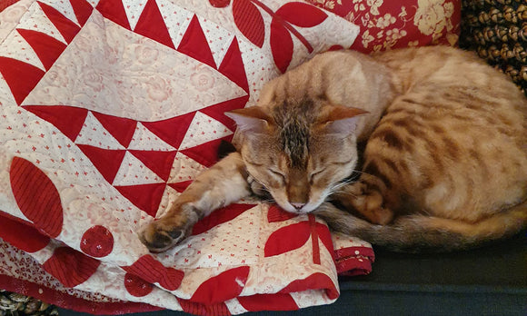 Bloomin Baskets Quilt returns home.