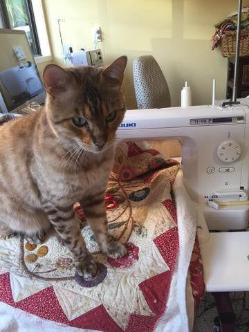 A New look for Pine Valley Quilts