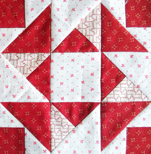 Simply Red Quilt Pattern BOM  Block Thirteen - Pine Valley Quilts